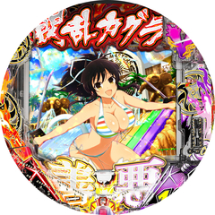 P閃乱カグラ 189大入りver.