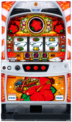 マイフラワー30